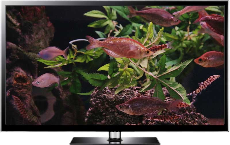 Fish Tank Screensaver Mac