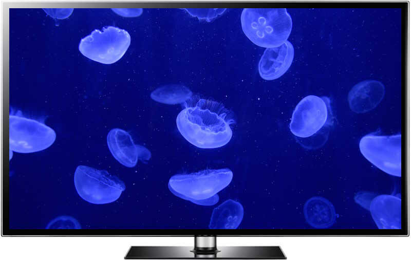 jellyfish aquarium screensaver