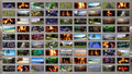 Living Displays - The Full Collection of 150 TV Screensavers
