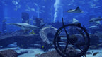 The Oceanarium amazing TV screensaver and 2nd best seller at uscenes
