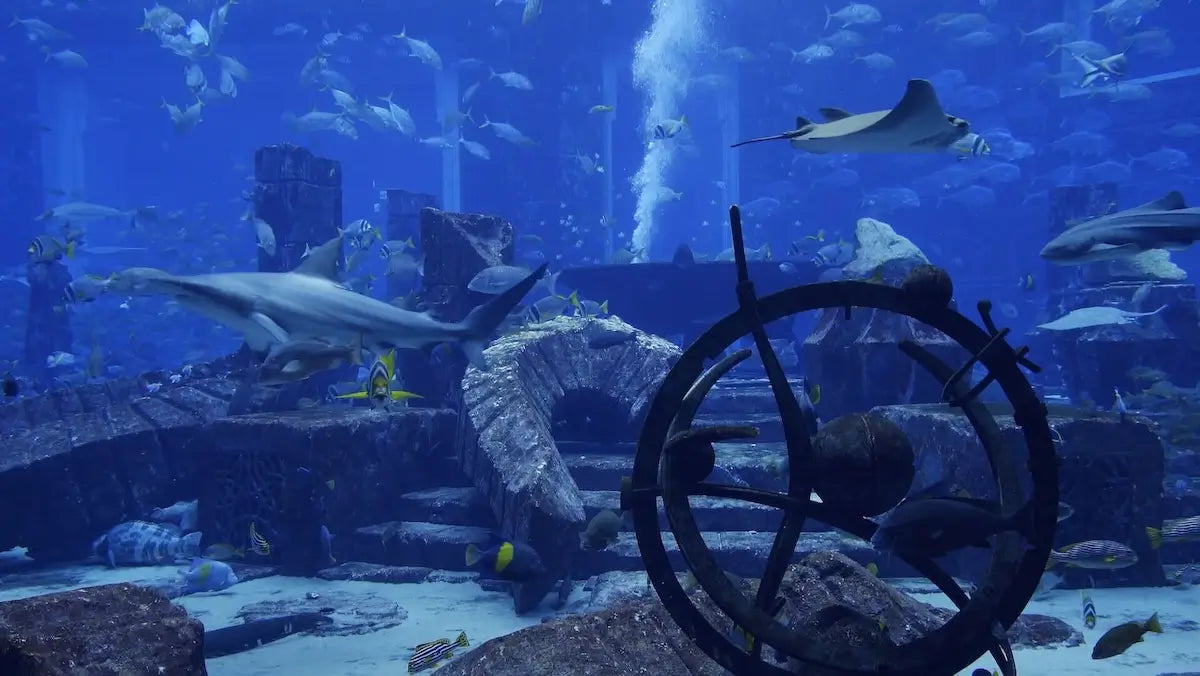 The Oceanarium amazing TV screensaver and 2nd best seller at uscenes