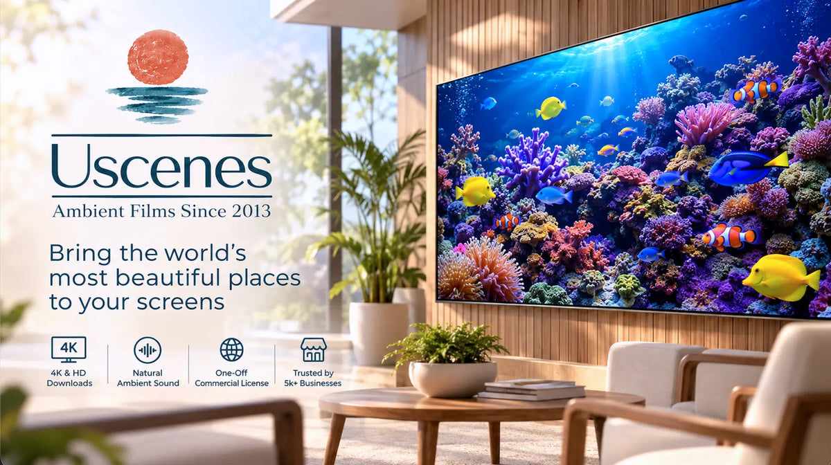 Promotional graphic for Uscenes Ambient Films showing a large wall-mounted aquarium-style display screen in a modern living room, with coral reef artwork and colorful fish. Text on the left reads 'Uscenes Ambient Films Since 2013' and includes feature icons for 4K, HD, and natural ambient lighting.