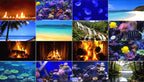 A 4x4 collage of Uscenes tropical and nature scenes, including beaches, waterfalls, coral reefs, jellyfish, palm trees, and warm fireplace flames.