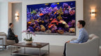 Living Displays - The Full Collection of 150 TV Screensavers