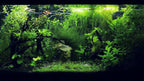 Living Displays - The Full Collection of 150 TV Screensavers