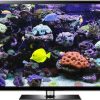 Virtual Aquarium Screensaver