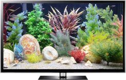 Fish Tank MP4