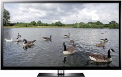Goose Screensaver