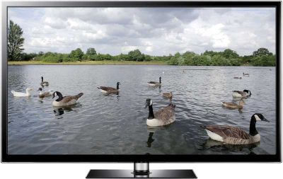 Goose Screensaver