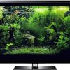 fish aquarium screensaver video Full HD