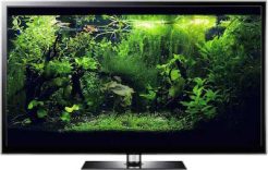 fish aquarium screensaver video Full HD