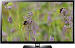 lavender bees summer screensaver
