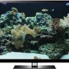 Aquarium HD 1080p