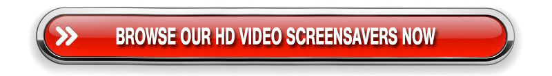 buy video to loop through Apple TV and iTunes on TV