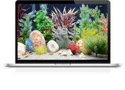 4k aquarium for laptops and pcs