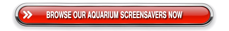 aquarium screensavers