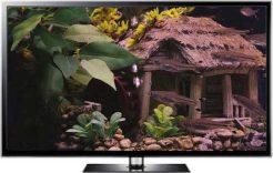 miniature fish tank screensaver