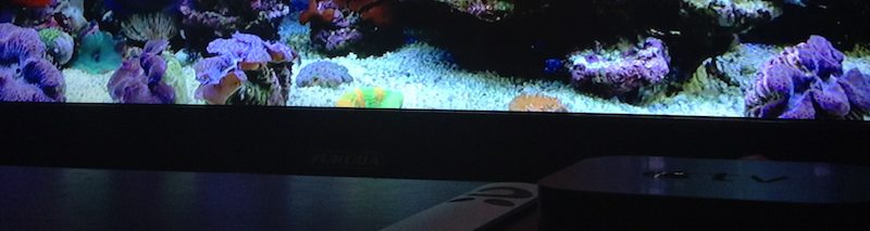 looping videos on apple tv with itunes
