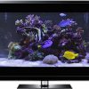 marine aquarium screensaver windows 10