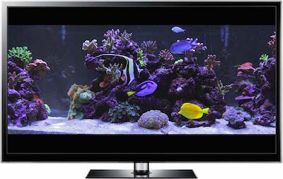 marine aquarium screensaver for mac