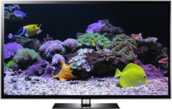 Coral Reef Video Screensaver by Uscenes