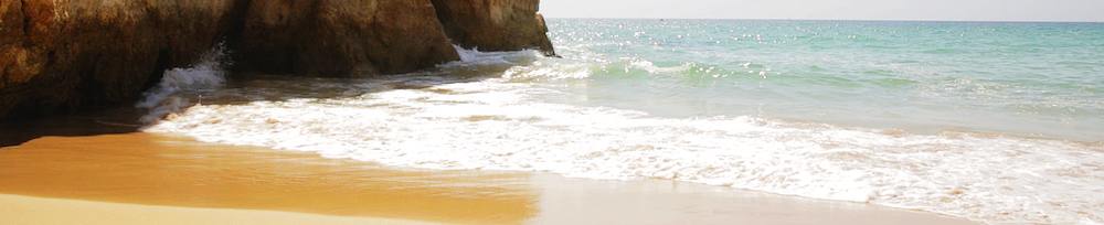 summer screensavers