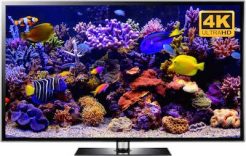 4K aquarium video and aquarium screensaver downloads
