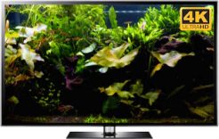 aquarium download