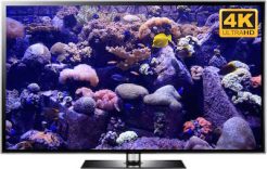 virtual fish tank