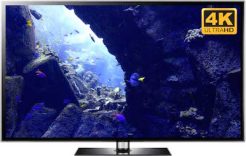 4k underwater video