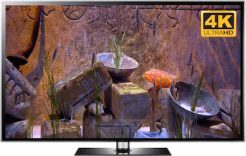 4k zen video download fish tank