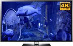 4k screensaver aquarium