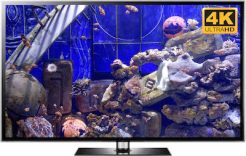 4K Finding Nemo screensaver