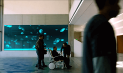 Uscenes screensaver of jellyfish on CBS Universal Television