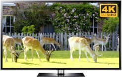 reindeer screensaver