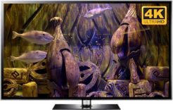 relaxing aquarium download in 4k