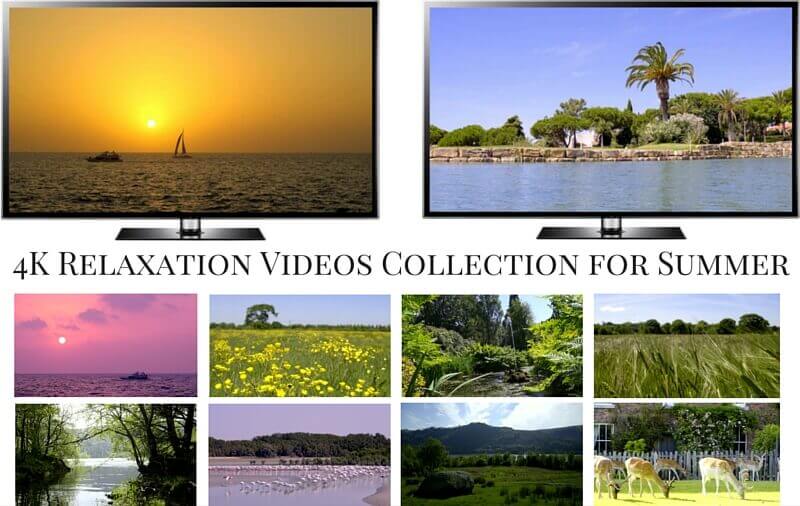 4K Relaxation Videos Collection for Summer