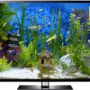 oriental aquarium download in 4K