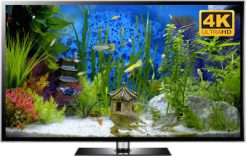 oriental aquarium download in 4K