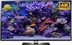 dory tv screensaver in 4k