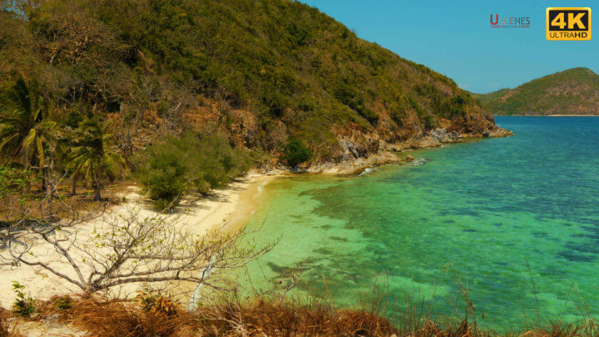 free ultra hd screensaver uscenes free hd screensavers