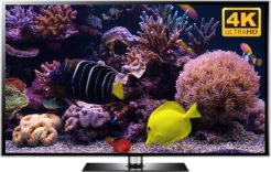 Marine Aquarium screensaver