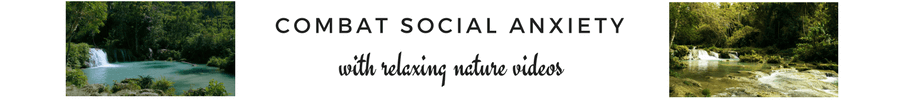 videos for social anxiety