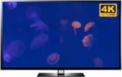 4K Jellyfish video download