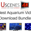 Best 4K Aquarium TV screensavers Download