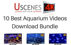 Best 4K Aquarium TV screensavers Download