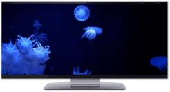 Ultrawide JELLYFISH SCREENSAVER ULTRA-WIDE VIDEO 1440P