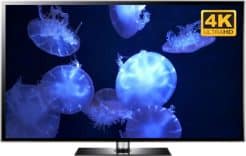 Jellyfish 4K
