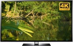 tropical pond nature video in 4K UHD