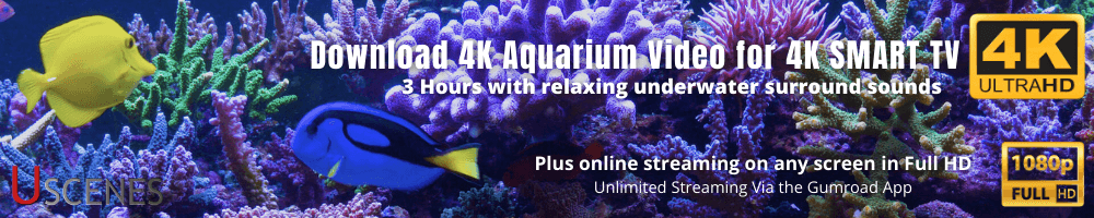 Download 3 hour 4K Aquarium Video for 4K SMART TV